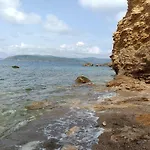Colibri41elba-mami